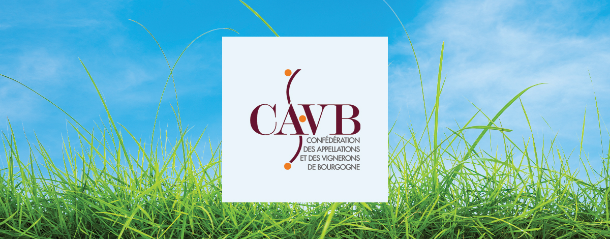 (c) Cavb.fr