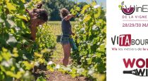 VITA Bourgogne est sur Vinéquip : Des conférences pour vous professionnels !